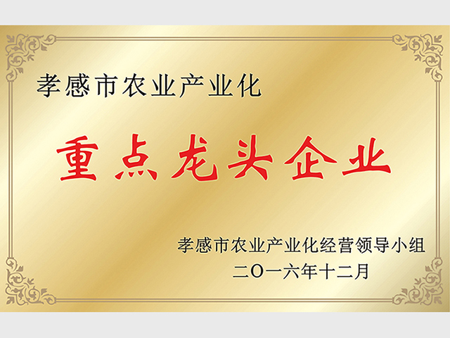 重點龍頭企業(yè)